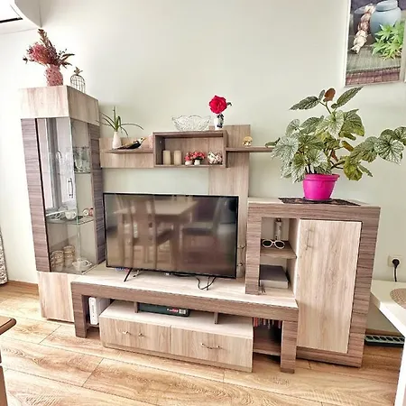 Sunny 1 アパート